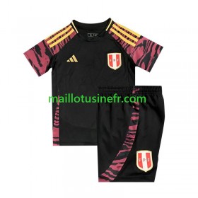 Maillot de Foot Pérou Copa America Extérieur 2024 - Enfant